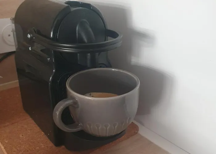 Apartman Le Versailles 4 Prs Cosy Carre D Or *